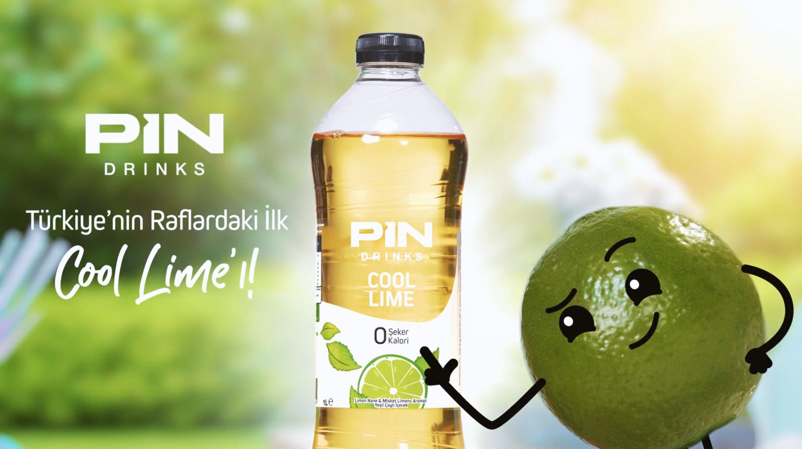 Pinlenen Günler